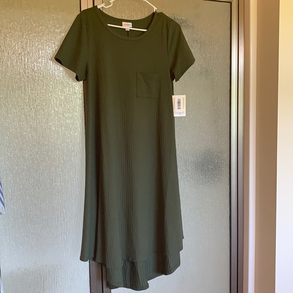NWT size Small LulaRoe Carly dress